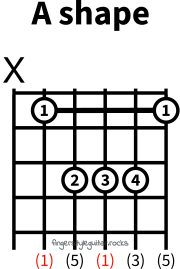 A major shape variation 1